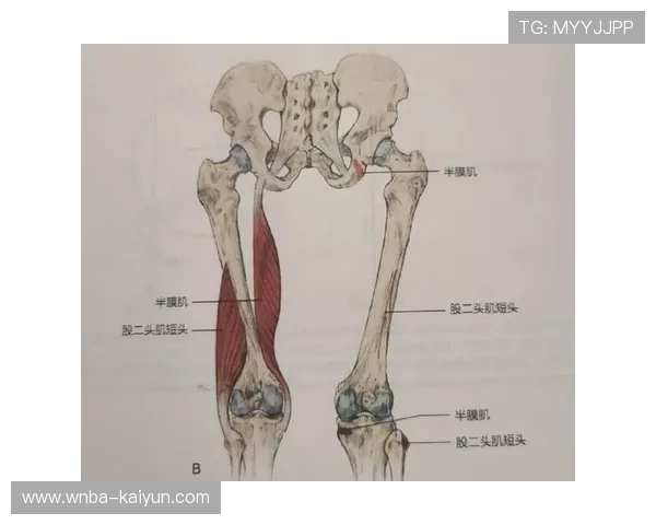 阿诺德左腿股四头肌股直肌损伤,将缺席约两个月关键战役 阿诺德左腿股四头肌股直肌损伤,将缺席约两个月关键战役